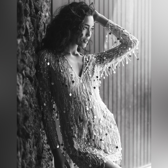 MAC DUGGAL
Long Sleeve Beaded Fringe Plunge Neck Dress Mini Anthropologie - Picture 15 of 17